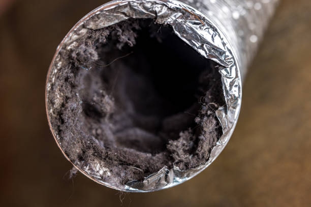 Best Air Duct Cleaning Near Me  in Gaylord, MI